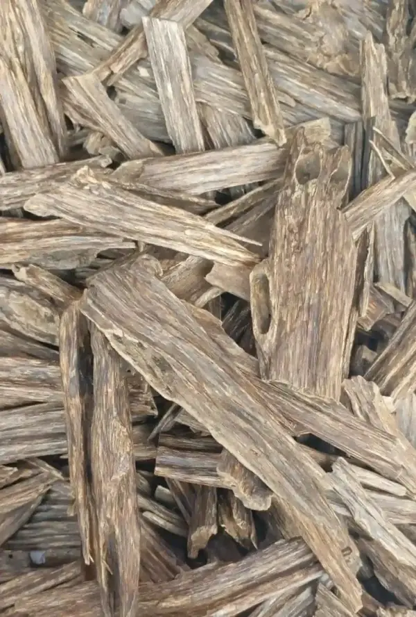 High-grade agarwood chips for incense burning from Al Shaikh Perfume