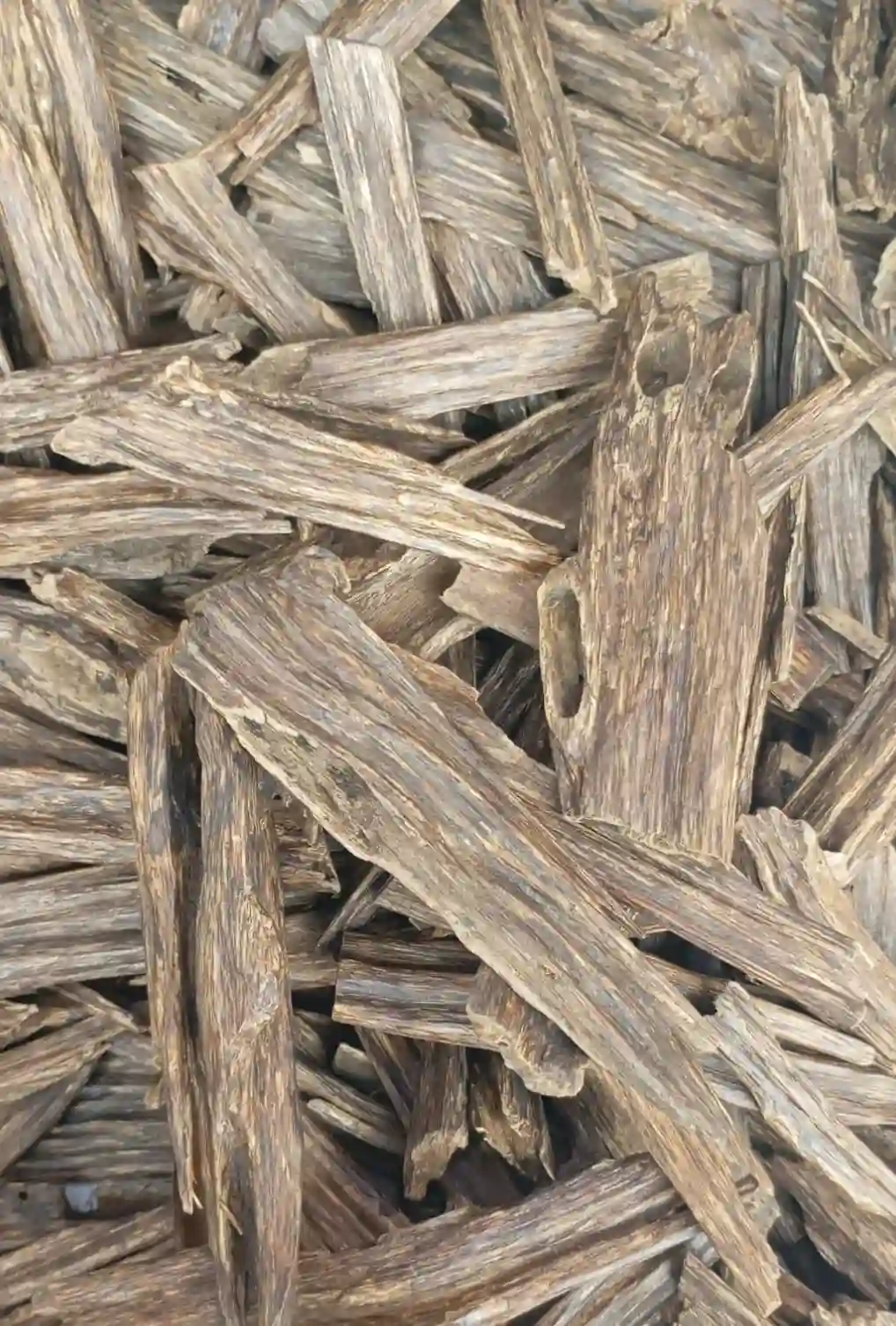 High-grade agarwood chips for incense burning from Al Shaikh Perfume